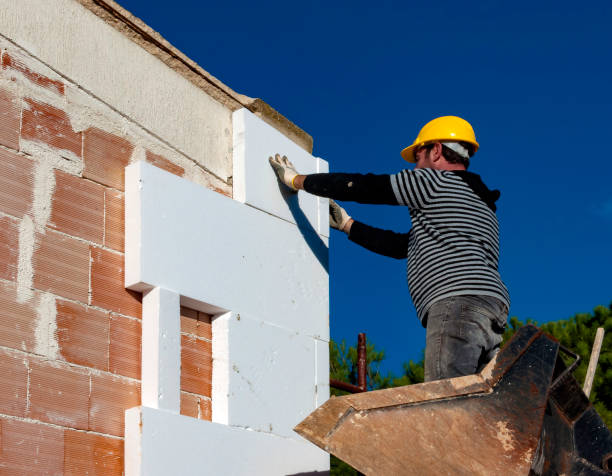 Best Specialty Insulation in Dublin, VA