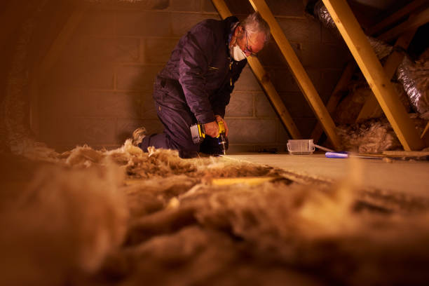 Best Commercial Insulation in Dublin, VA