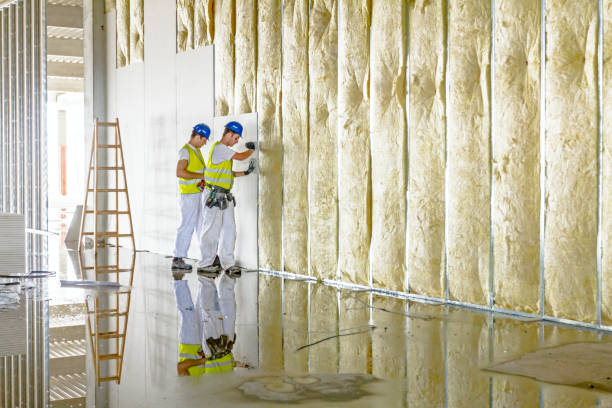 Best Residential Insulation in Dublin, VA
